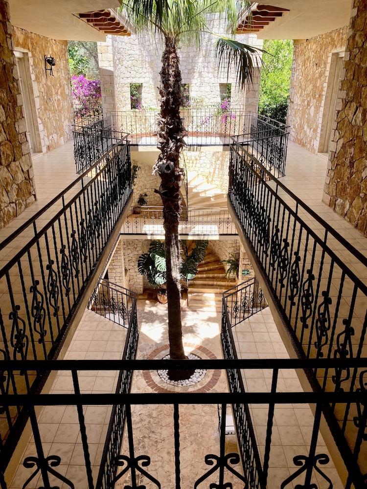 קס Villa Hotel Tamara מראה חיצוני תמונה